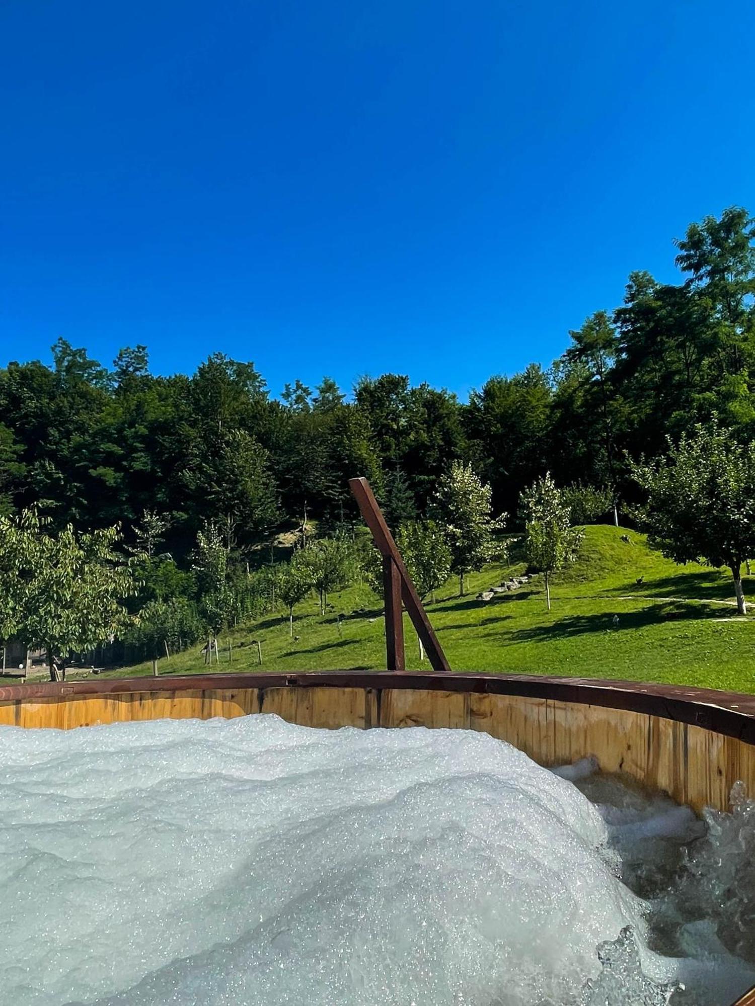 Vila Cabana La Domnu' De Pe Vale Aiud Exteriér fotografie