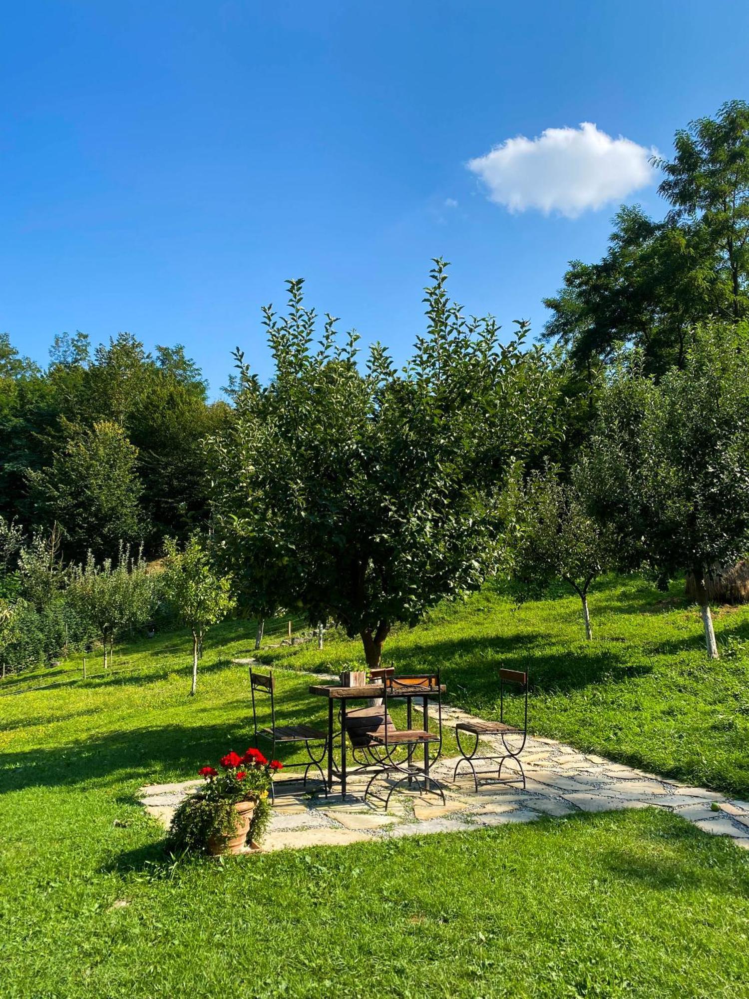 Vila Cabana La Domnu' De Pe Vale Aiud Exteriér fotografie